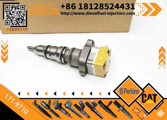 Diesel Fuel Injector 10R-9000 229-8842 0R-9348 171-9710 177-4754 177-4752 173-4566 128-6601 nozzle assembly Common rail injector