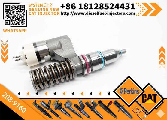 Excavator Accessories Fuel Injector 208-9160 116-8899 for CAT C10 C11 C12 C13 for Construction Machinery