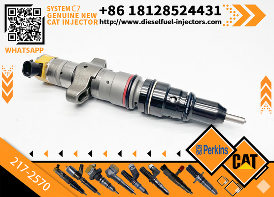CAT C7 C9 Fuel Injector 217-2570 235-2888 2352888 387-9433 3879433 293-4071 387-9427 3879427 263-8218 2638218 For Caterpillar