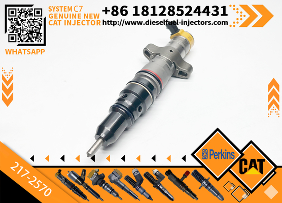 CAT C7 C9 Fuel Injector 217-2570 235-2888 2352888 387-9433 3879433 293-4071 387-9427 3879427 263-8218 2638218 For Caterpillar