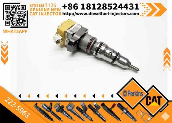 Excavator Parts 3126 Engine Injector 111-7916 177-4753 138-8756 222-5963 222-5972fuel Injector for Excavator