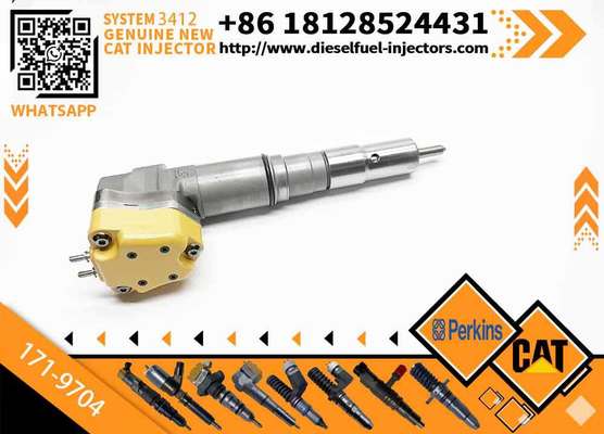 For CAT Excavator 3412E 171-9704 Common Rail diesel Fuel Injector 171-9704