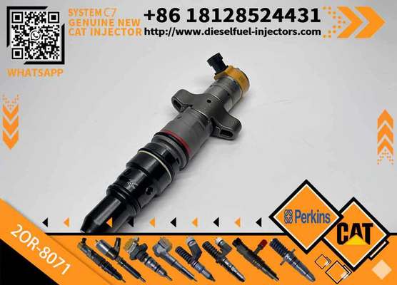 Diesel Engine Injector20R-8067 557-7627 243-4503 20R-9079 2OR-8071 328-2582 295-9166For Caterpillar C7 Common Rail