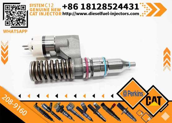 Excavator Accessories Fuel Injector 208-9160 116-8899 for CAT C10 C11 C12 C13 for Construction Machinery