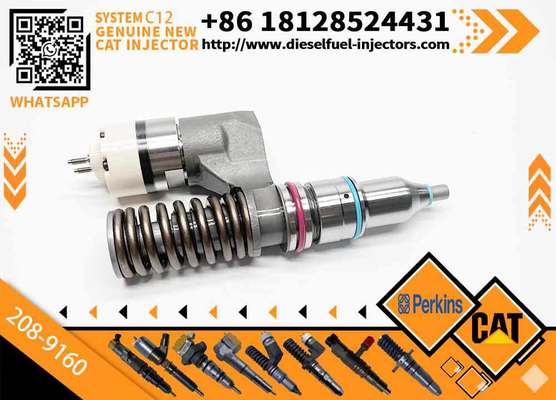 Excavator Accessories Fuel Injector 208-9160 116-8899 for CAT C10 C11 C12 C13 for Construction Machinery